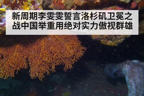 新周期李雯雯誓言洛杉矶卫冕之战中国举重用绝对实力傲视群雄